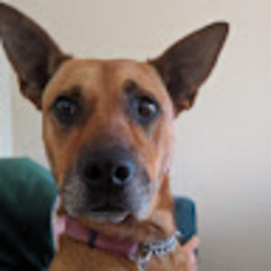 Meet your Posher, Emma